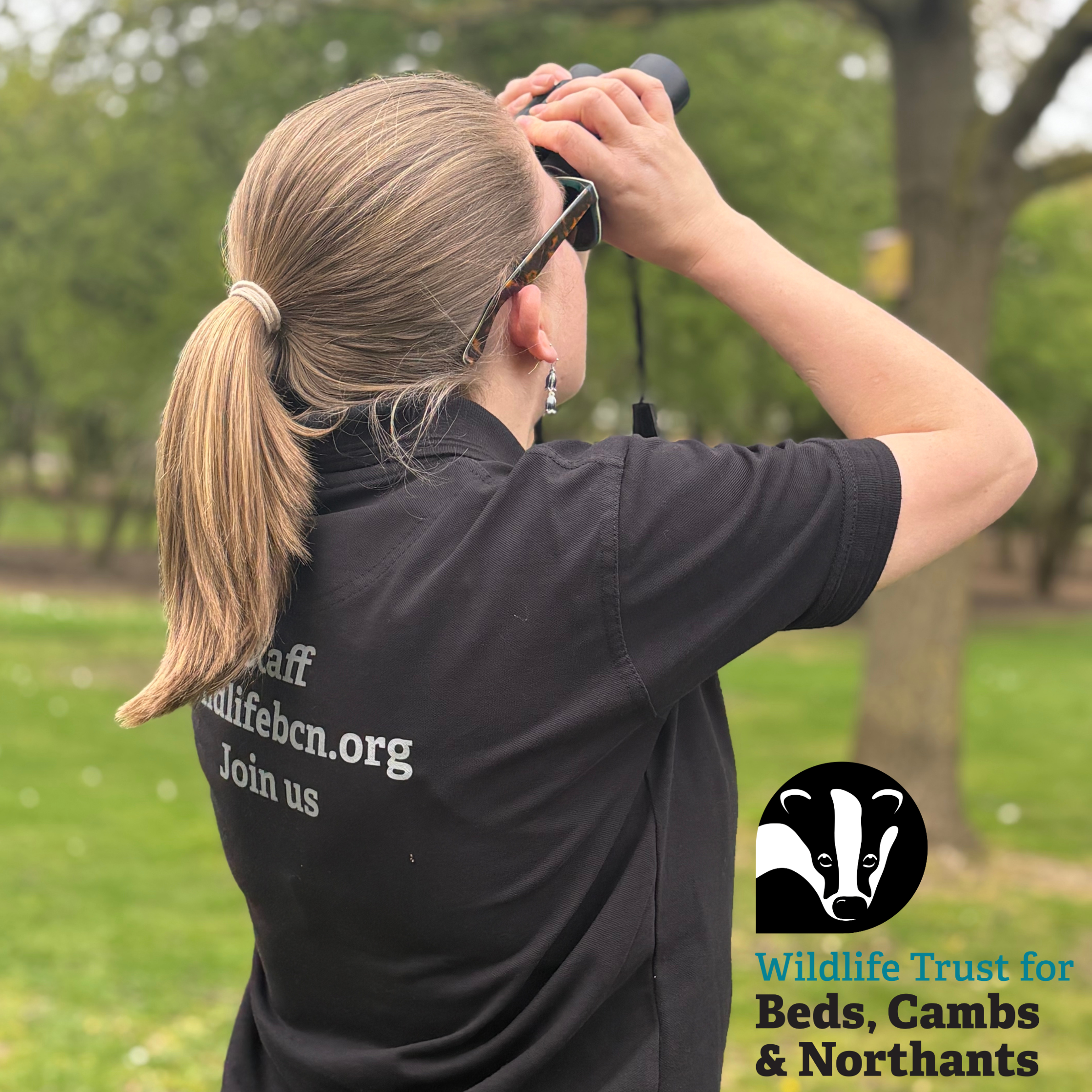 Woman with binoculars and wildlife trust logo